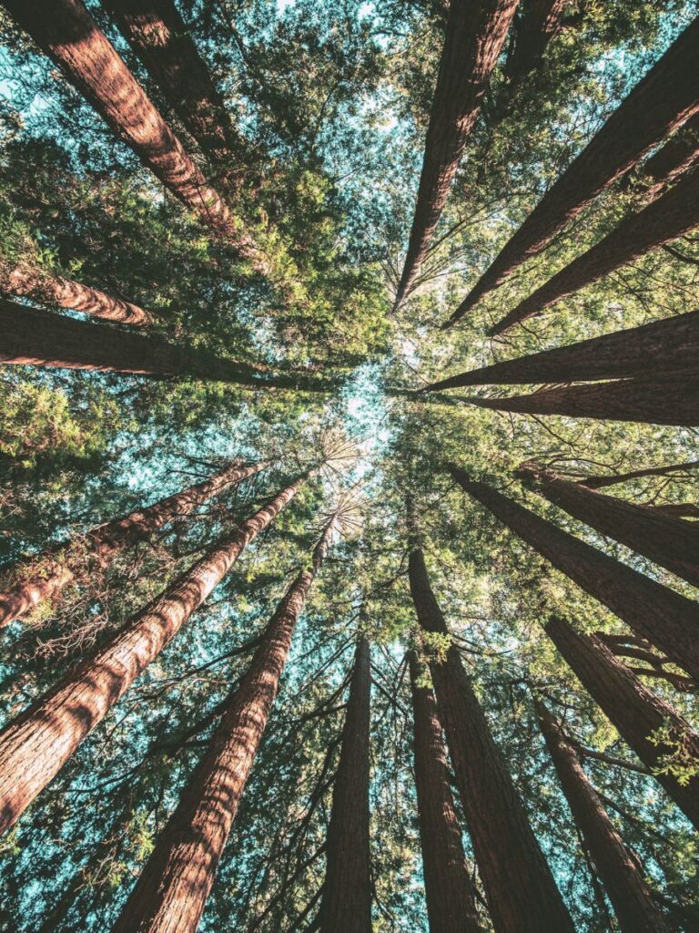 Εξειδικευμενες λογιστικες υπηρεσιες για κατασκευαστικες εταιρειες all about accounting λογιστικη εταιρεια στην Αθηνα